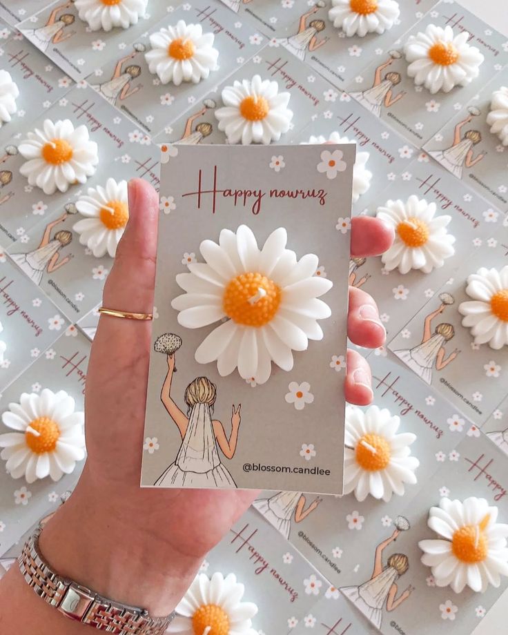 MARGARITAS AROMATICAS X12